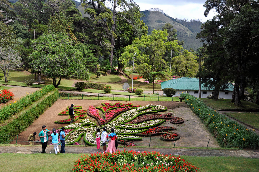 Visit Hakgala Botanical Garden