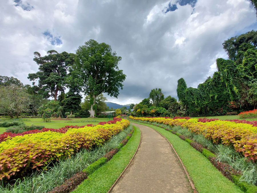 Visit Royal Botanic Gardens, Peradeniya